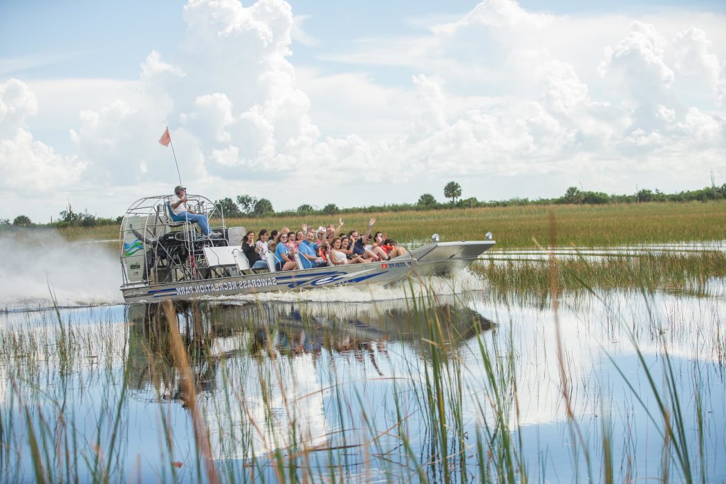 Airboat Wildlife Adventures, Weston FL | Sawgrass Recreation Park