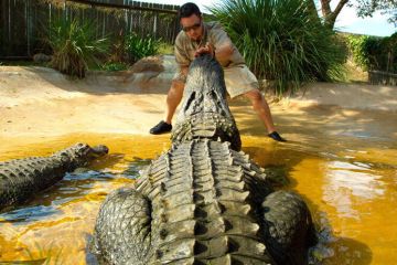 Airboat Wildlife Adventures, Weston FL | Sawgrass Recreation Park